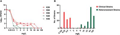 Heteroresistance Is Associated With in vitro Regrowth During Colistin Treatment in Carbapenem-Resistant Klebsiella pneumoniae